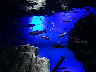 c0204725_2221938.jpg