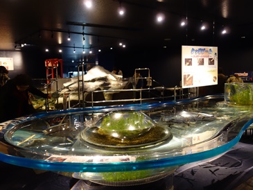 c0204725_22272912.jpg