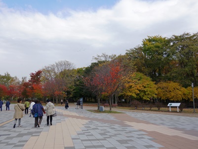 c0204725_2243116.jpg