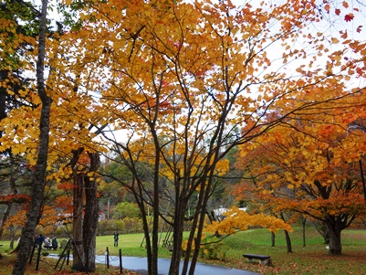 c0204725_22485934.jpg