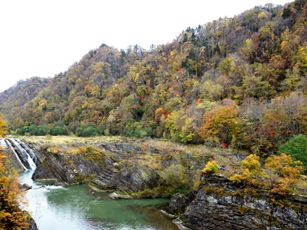 c0204725_2250246.jpg