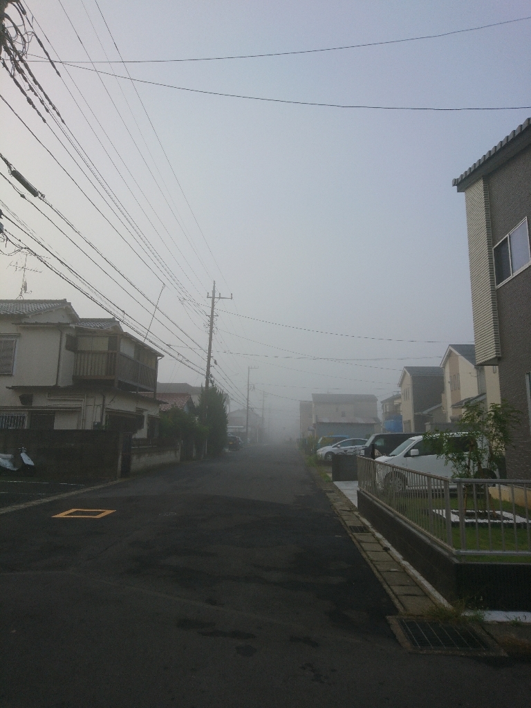 霧の朝_e0166032_12263175.jpg