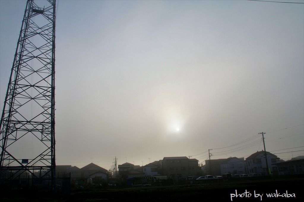 e0052135_22361200.jpg