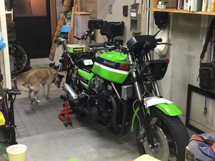 a0156636_23412116.jpeg