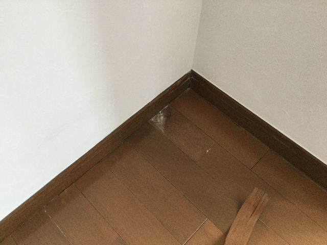 換気扇5連発 クロス 洗浄便座 塗装 うお~~~♪_f0031037_20201418.jpg