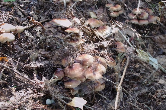 f0114346_08002059.jpg