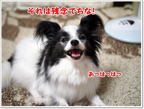 d0013149_00344881.jpg