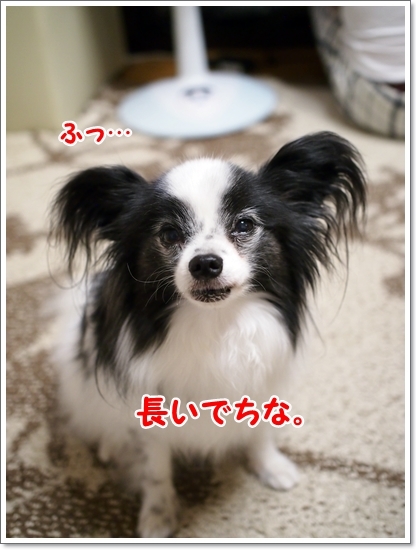d0013149_00483611.jpg