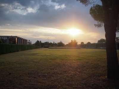 e0014553_10345754.jpg