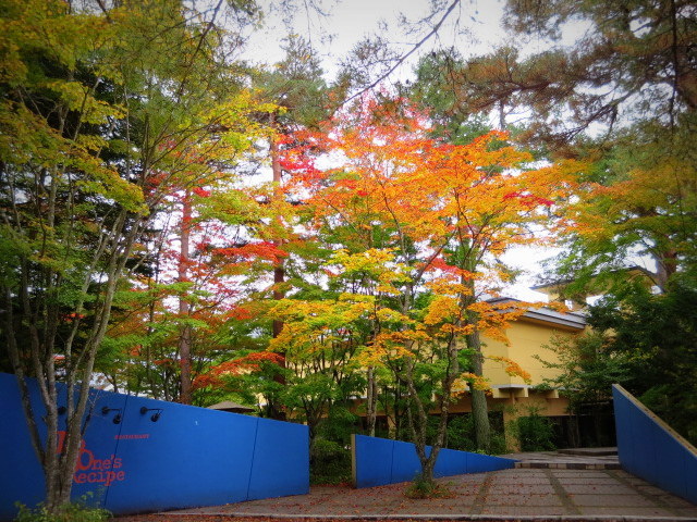 f0236260_23344820.jpg