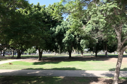 d0193569_08513412.jpg
