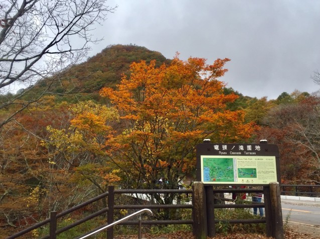 日光もみじ狩り(^^♪　竜頭の滝➡湯元温泉➡湯滝　_d0310570_15385035.jpg