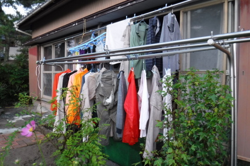 雨・雨、今日はつかの間の太陽　　明日も雨の予報_d0007071_19245253.jpg