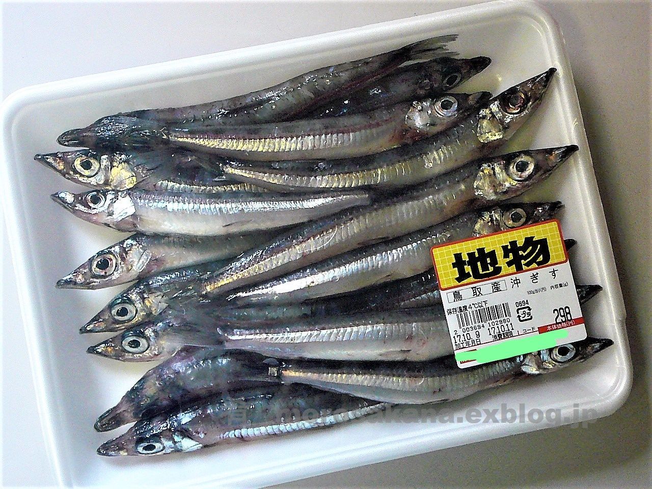 注目 ニギス 肴 注目 ニギス 肴