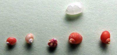 f0083977_22041941.jpg
