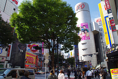 b0056983_15073439.jpg
