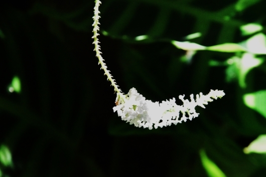 b0329186_07580000.jpg