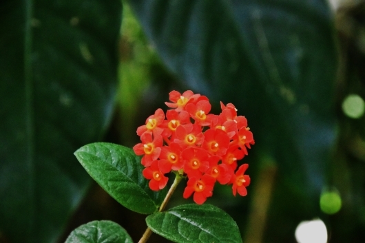 b0329186_08020937.jpg