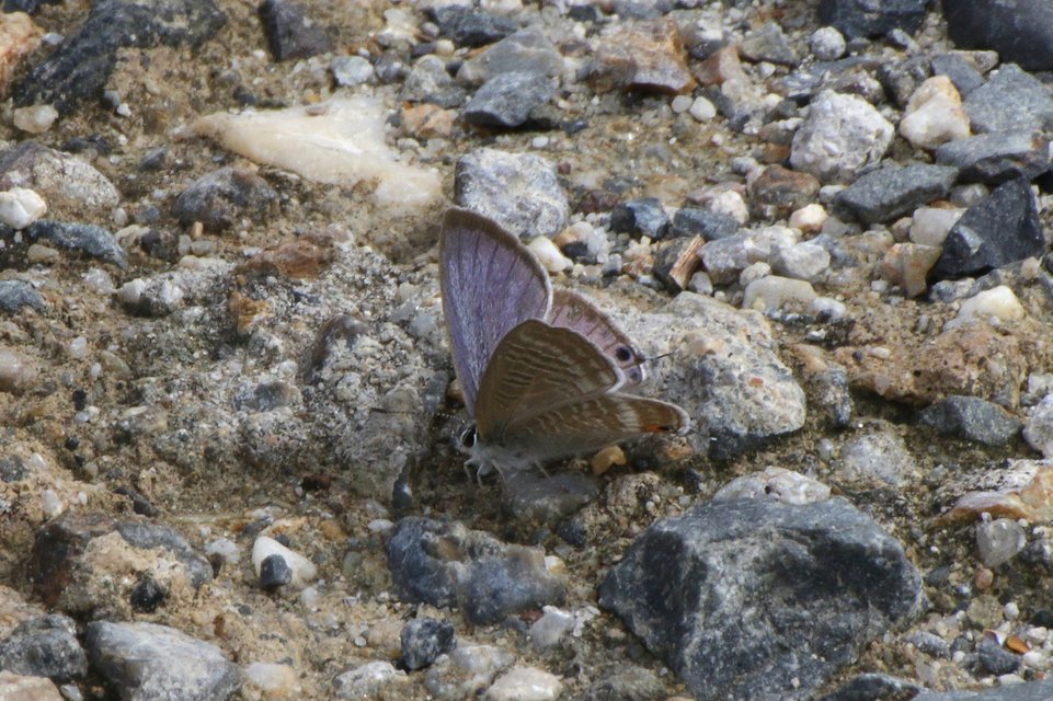 f0373486_15375012.jpg