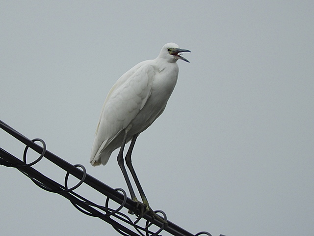 f0357487_2247235.jpg