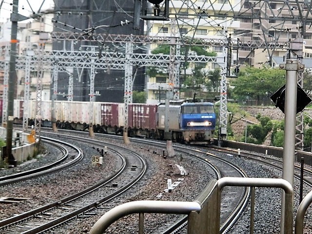 藤田八束の鉄道写真＠素敵な鉄道写真、ガーデニング・・・鉄道写真、青木繁君との思い出_d0181492_06510578.jpg