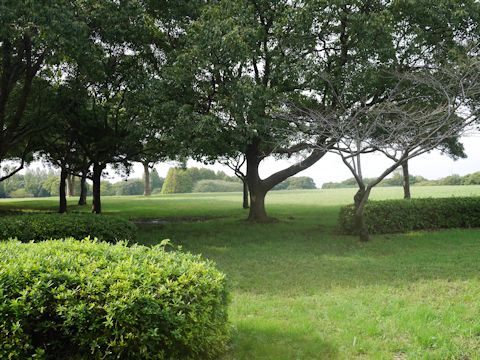 c0090198_233219.jpg