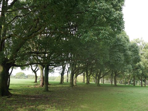 c0090198_23322590.jpg