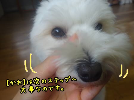 a0338800_20231669.jpg