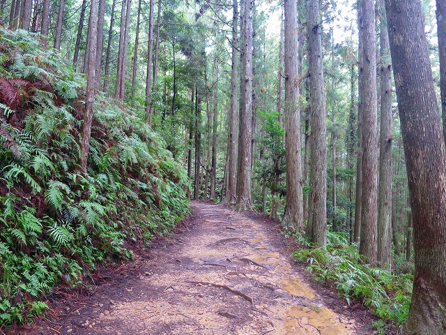 From Yagio to Hongu in Kumano route_d0360104_23561995.jpg