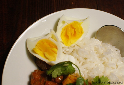 ナスとズッキーニとチキンのインド風カレー_b0253205_05341758.jpg