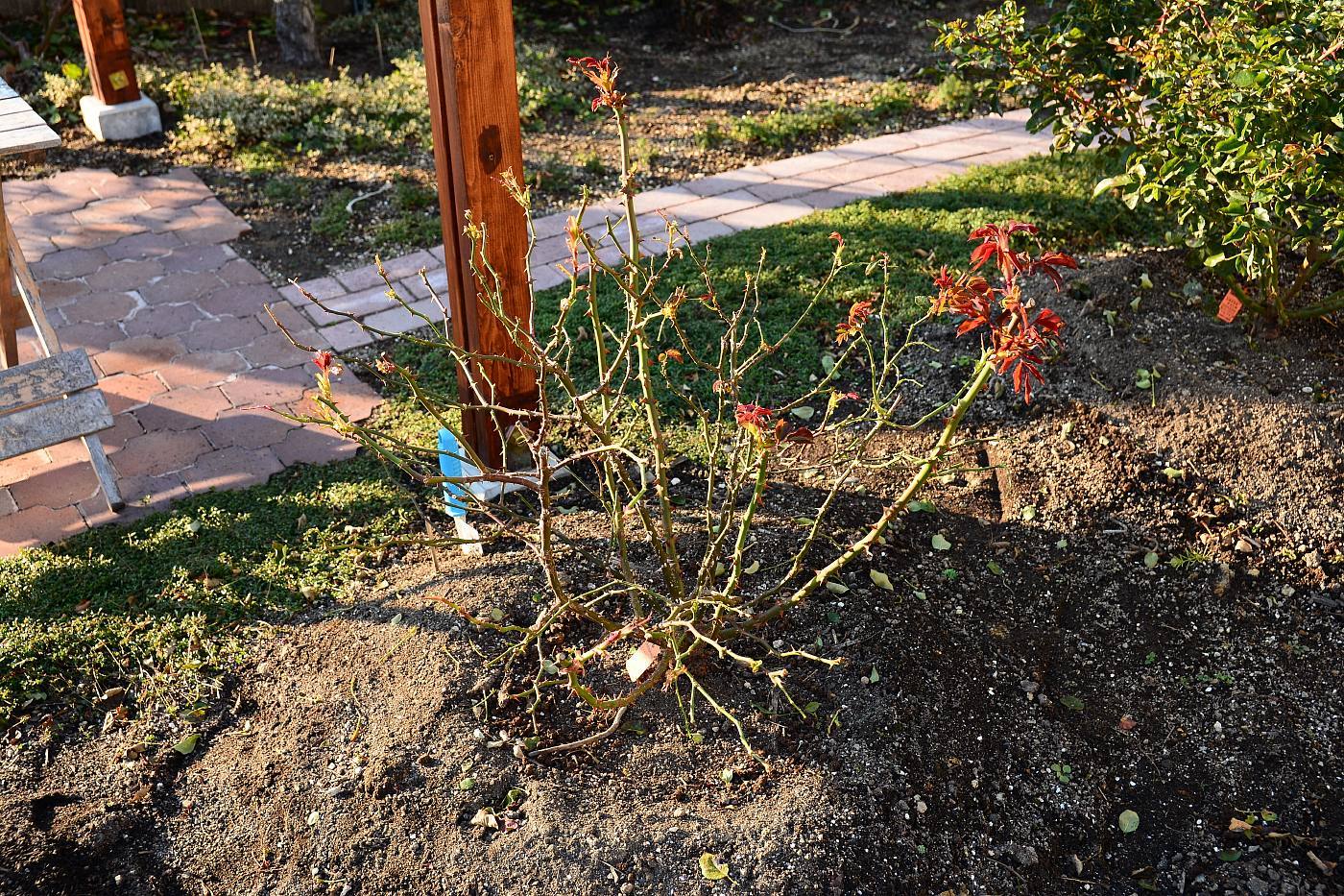 a0248508_15514629.jpg