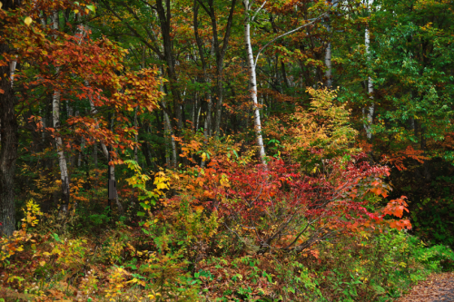 a0263109_15094946.jpg