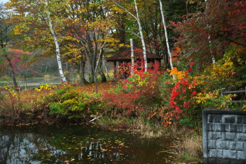 戸隠高原　小鳥が池の紅葉2_a0263109_15174119.jpg