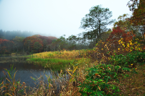 戸隠高原　小鳥が池の紅葉2_a0263109_15184518.jpg