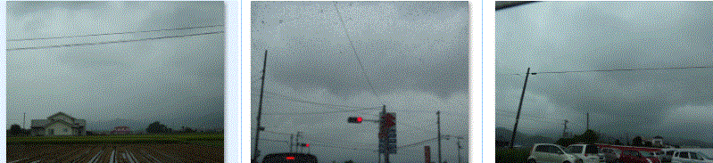 f0231709_12595752.gif