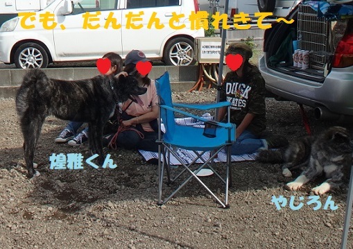 BBQの記事最終&#127925;(犬たちの様子）_f0121712_09234525.jpg