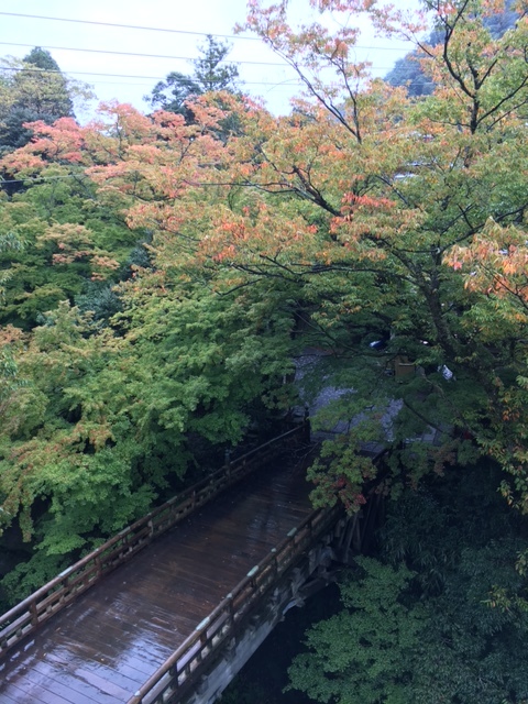 c0210517_10314117.jpg