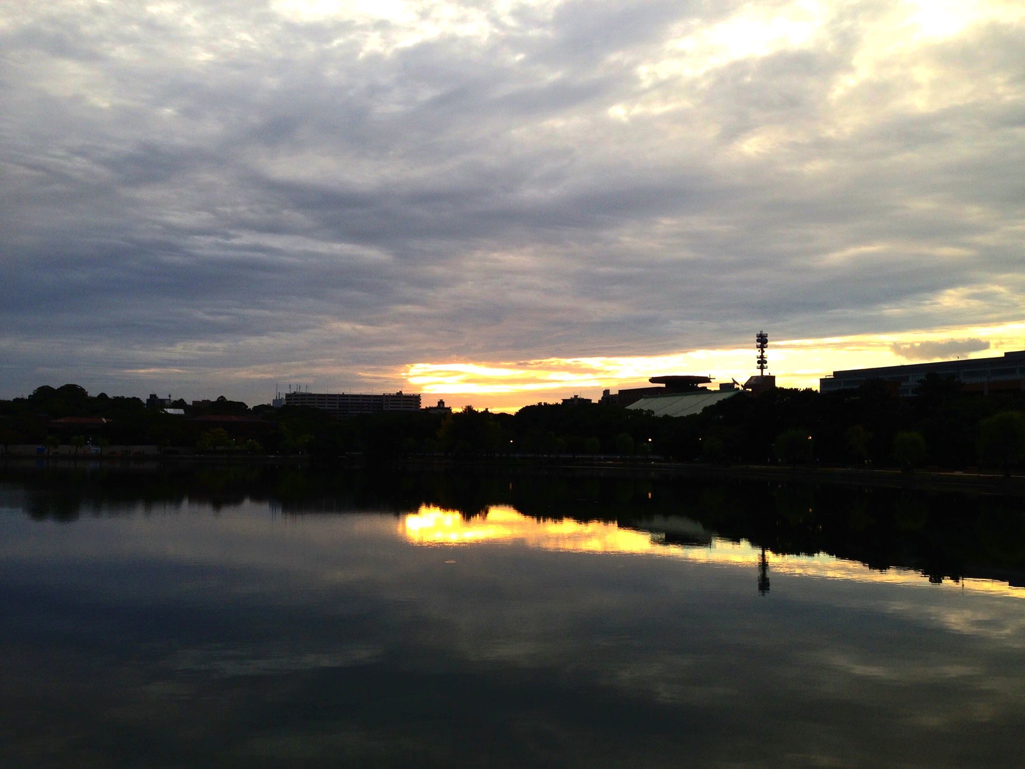 a0315918_21110130.jpg