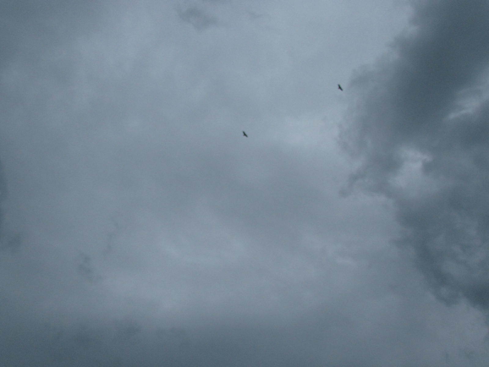 d0360922_01054319.jpg