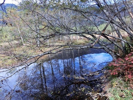 e0234924_10402424.jpg
