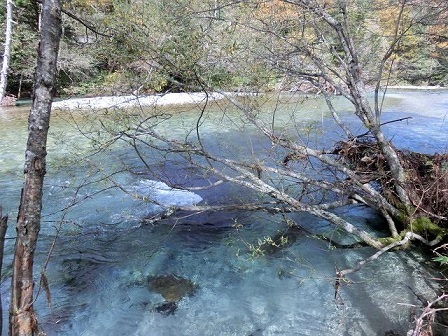 e0234924_11091540.jpg