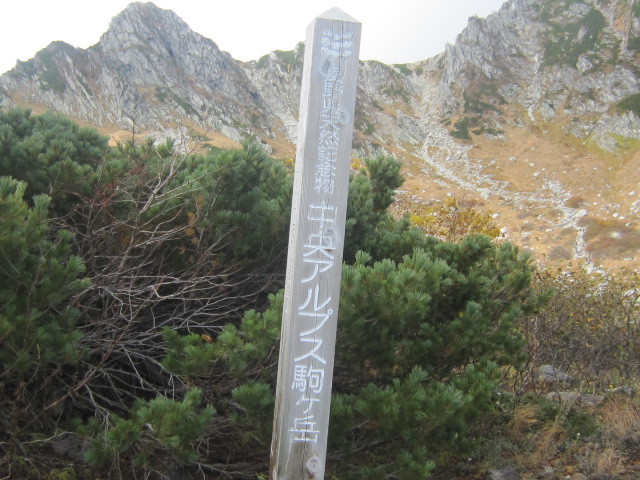 d0162225_00202043.jpg
