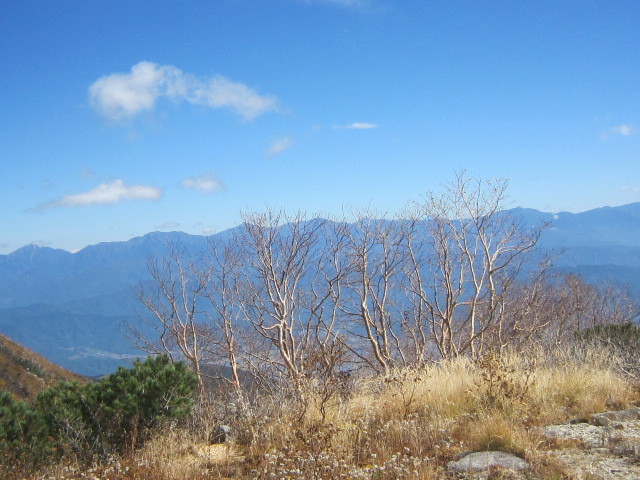 d0162225_00204417.jpg