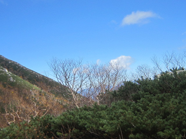d0162225_00234742.jpg