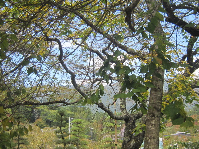 d0162225_17081319.jpg