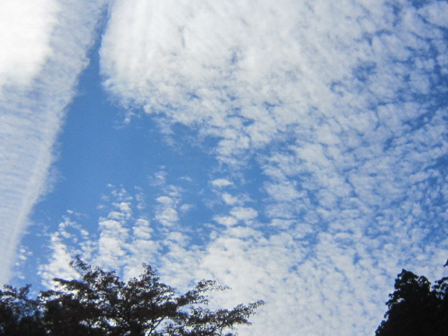 d0162225_17094870.jpg