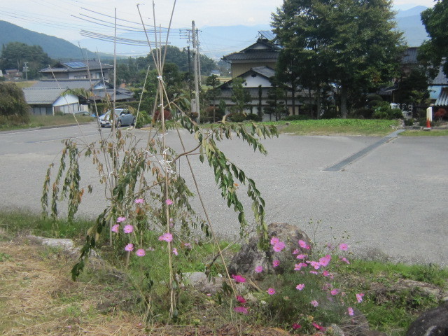 ♪四度目の正直で行った★信州⑤（光前寺）_d0162225_17105294.jpg