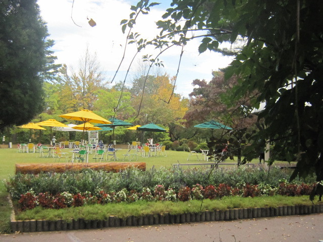 d0162225_23174027.jpg