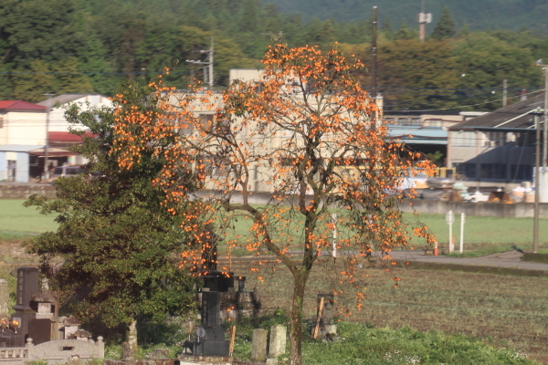 f0229832_23173488.jpg