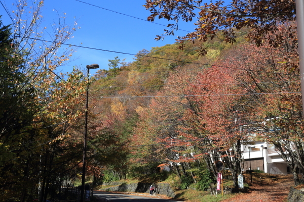 １７年紅葉旅①日光市　竜頭ノ滝その３_f0229832_23255719.jpg